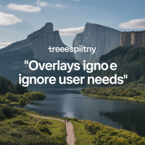 The Hidden Tech Headaches: Why Overlays Ignore User Needs