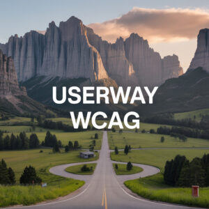Revealing the Impact: Why Userway Fails WCAG Through Strategic Audit and Redesign