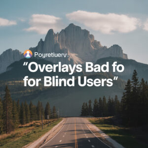 The Hidden Costs: Overlays Bad for Blind Users - Impact on Trust and Brand Reputation