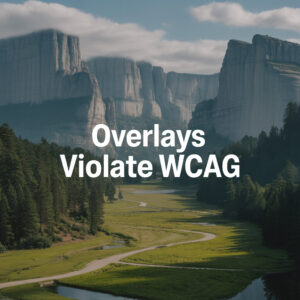 Understanding Why Overlays Violate WCAG Guidelines