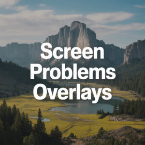 Revealing the Complications of Screen Reader Problems with Overlays